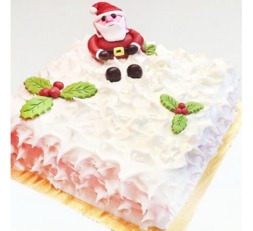 Santa Claus Cake