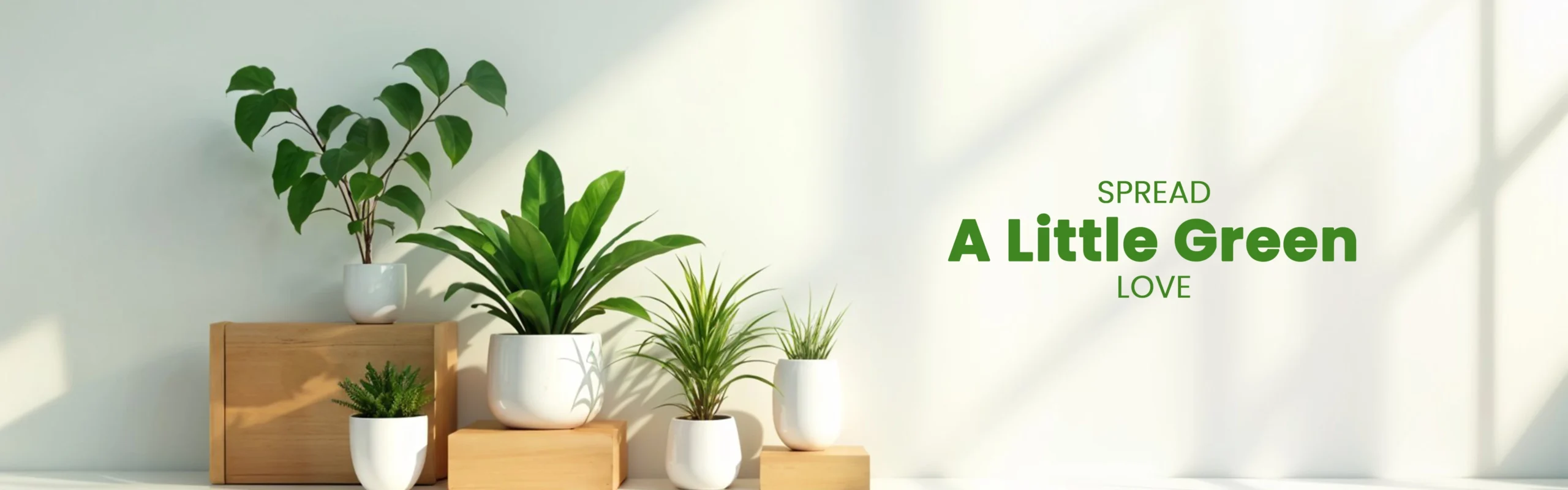 plant page banner 1