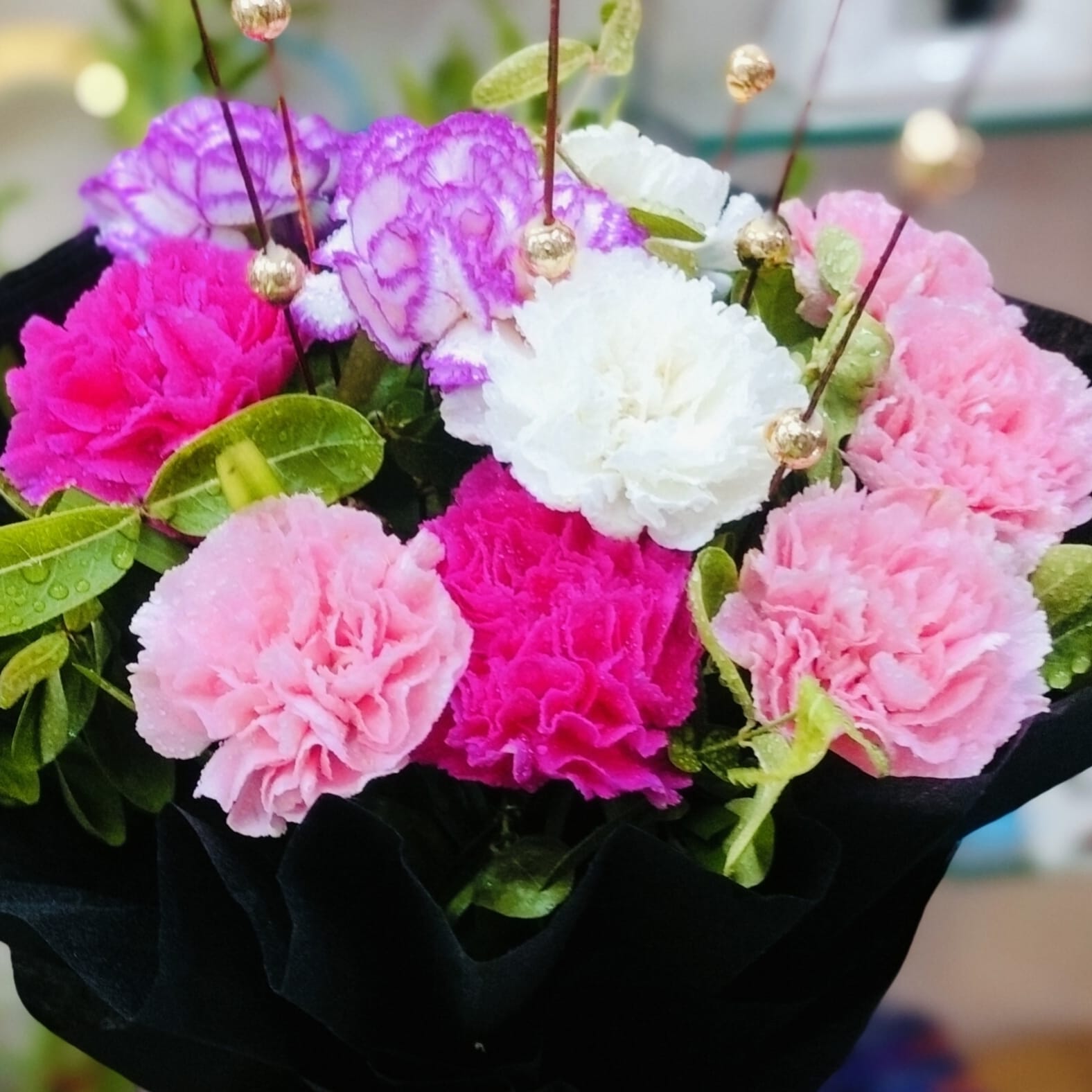 Carnation Delight - Image 3