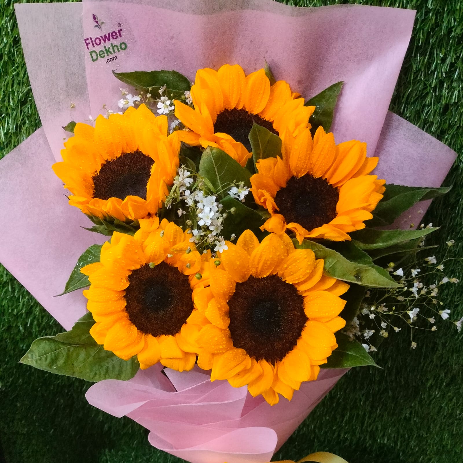 Sunlit Dreams - Image 3