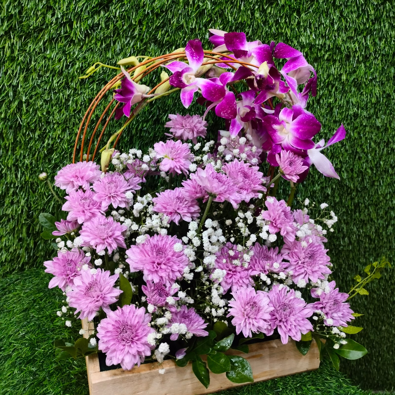 Flora Treasure - Image 3