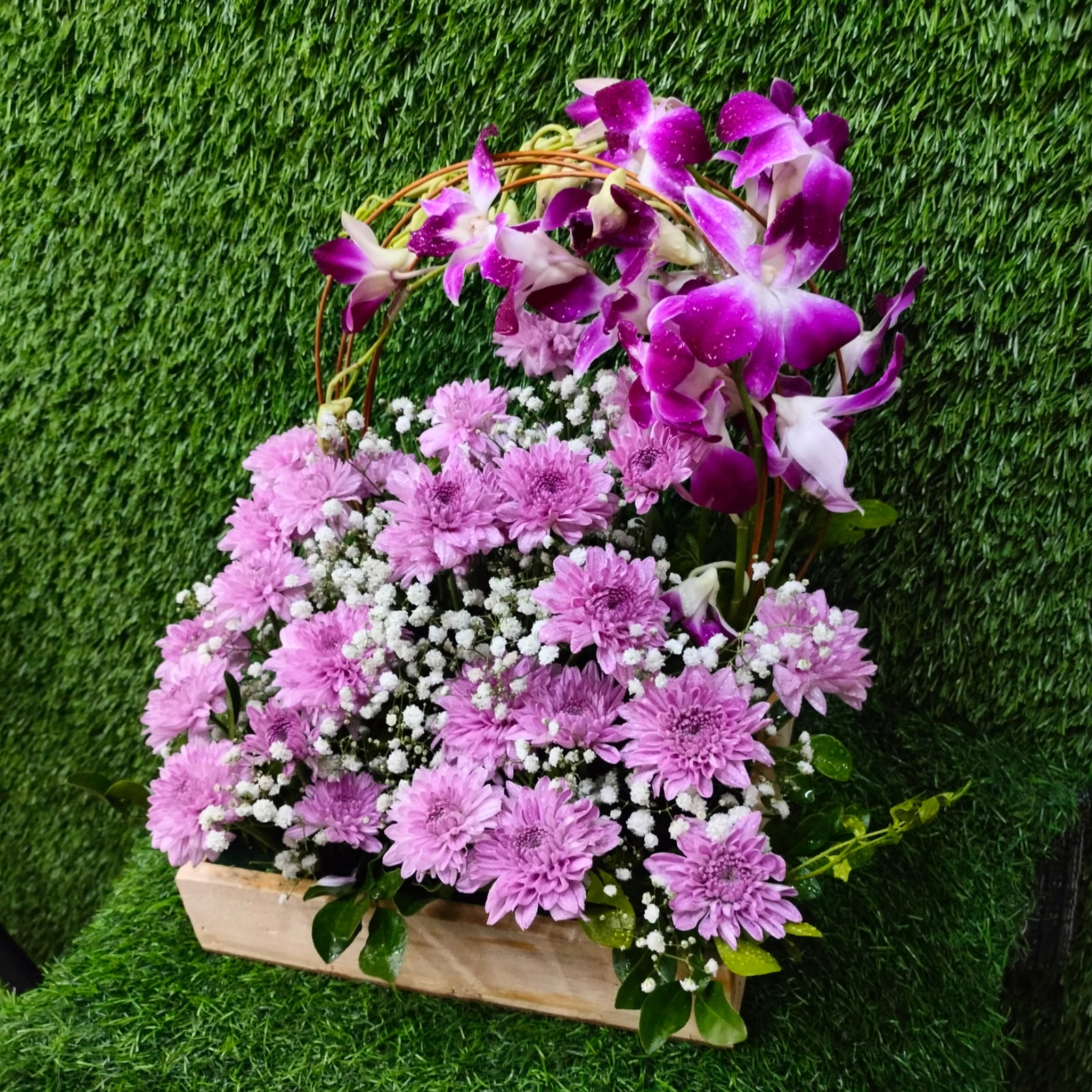 Flora Treasure - Image 4