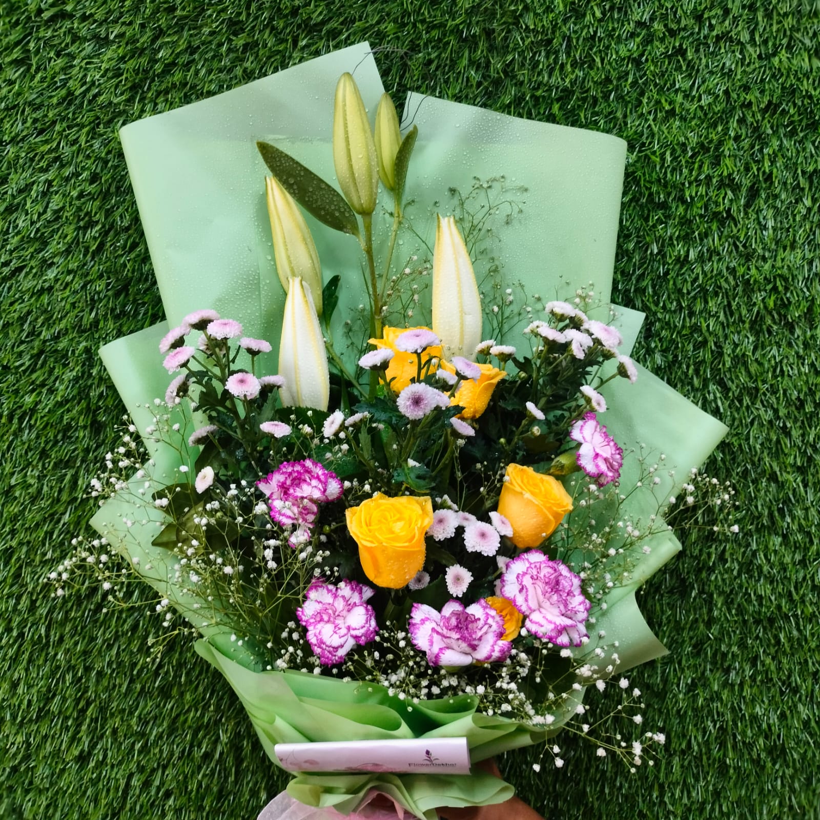 Aurora Horizon - Image 2